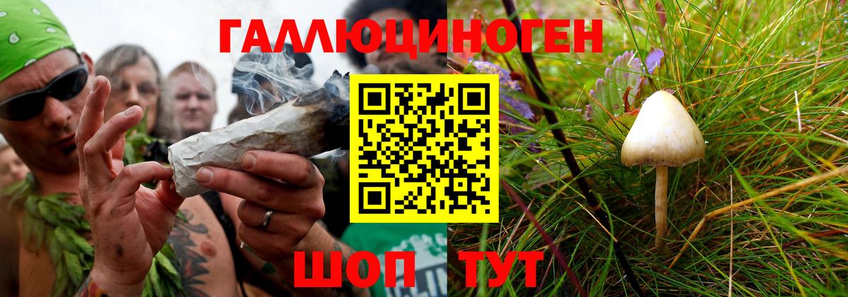 Псилоцибиновые грибы прущие грибы Назарово